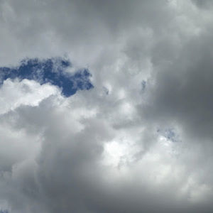 Meet your Posher, Arielle